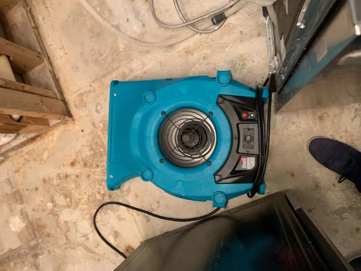 Air mover drying equipment for Mold Remediation & Removal in Lake Elsinore